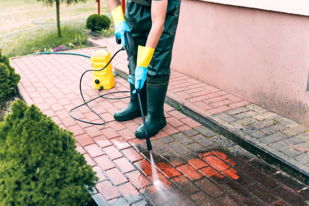 Best Fence Cleaning  in Braham, MN